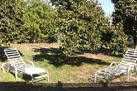 Charming 3 Bedroom Family Home with Marble Fireplace in Chatsworth, CA (Photo 5 of 9)