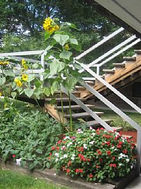 Hard to Find, Large 1 Bedroom Apartment at Autumn Run in Medina, OH (Photo 10 of 12)