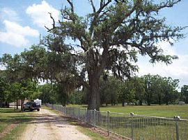 4 Br 2.5 Ba Scenic 10acre Pool Free Water Sewer  Www.Truths.Org in Rosharon, TX (Photo 2 of 12)
