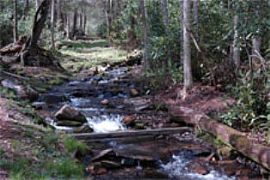 Ideal 4 Bedroom Home at Parkway Creek Lodge in Maggie Valley, NC (Photo 2 of 8)