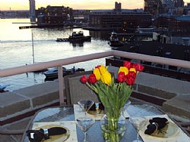 Furnished Fells Point Penthouse For Rent  in Baltimore, MD (Photo 4 of 10)