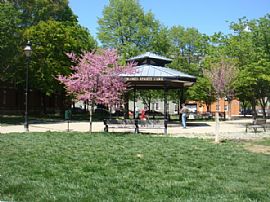 Furnished Fells Point Penthouse For Rent  in Baltimore, MD (Photo 7 of 10)