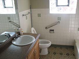 Recently Remodeled 2 Bedroom Apartment with Hardwood Floor in Bensenville, IL (Photo 4 of 6)