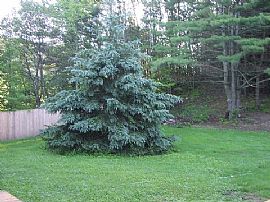 Desirable 4 Bedroom Home - Located on Route 4 in Mendon, VT (Photo 3 of 6)