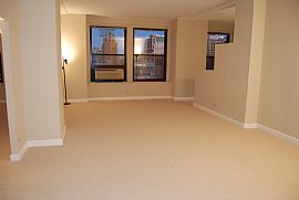 Open Sun 10/17 2-5pm Great Views! 600 S Dearborn 1304 in Chicago, IL (Photo 3 of 12)