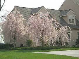 Magnificent 5 Br/6.5 Bath, Gym, Pub, Artroom, Home Theatre in Kennett Square, PA (Photo 3 of 6)