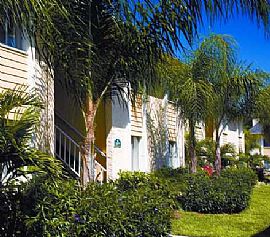 Enclave at Sabal Pointe Brand New Upgrades in Saint Petersburg, FL