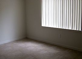 Enclave at Sabal Pointe Brand New Upgrades in Saint Petersburg, FL (Photo 3 of 10)