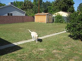 Charming Valley Home in Lake Balboa For Rent in Lake Balboa, CA (Photo 9 of 11)