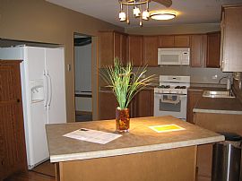 Updated 4 Bedroom Home with Fenced Yard   in Bartlett, IL (Photo 2 of 7)