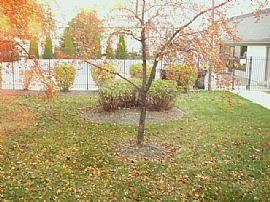 Comfy 2 Bedroom Condo with All The Amenities!  in Hilliard, OH (Photo 7 of 12)