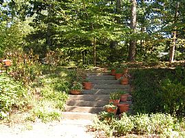 Wonderful 4 Bedroom Home Near Toco Hills - CCD - Emory in Atlanta, GA