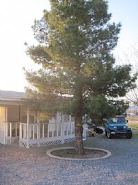 Quaint 3 Bedroom Home on 1 Acre Horse Property in Kingman, AZ