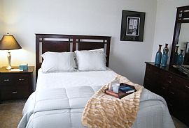 Spacious 1 Bedroom Apartment with Falling Prices  in Fort Wayne, IN (Photo 6 of 6)