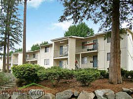 Lovely 1 Bedroom Apartment with Upgrades at Kent Terrace in Kent, WA