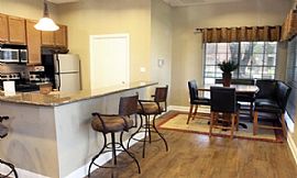 Traditional 1 Bedroom Apartment with Apartment Cruisers in Houston, TX (Photo 4 of 6)