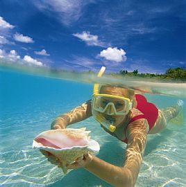 Traditional 1 Bedroom Apartment with Apartment Cruisers in Houston, TX (Photo 5 of 6)