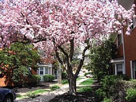 Comfy 2 Bedroom Apartment - Move in ASAP!! in Columbus, OH