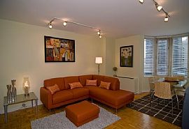 Spacious 1 Bedroom Apartment - Completely Accessorized in Manhattan, NY