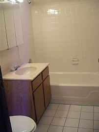 Nice 2 Bedroom Condo - Freshly Painted and Brand New Carpet in Glendale Heights, IL