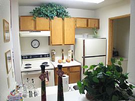 Convenient 1 Bedroom Apartment with Washer and Dryer in Las Vegas, NV (Photo 3 of 8)