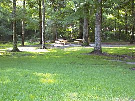 Sensational 2 Bedroom Condo Near UF Campus in Gainesville, FL (Photo 9 of 9)