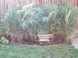 Beautiful 3 Bedroom Home in Award Winning School District  in San Jose, CA (Photo 3 of 5)