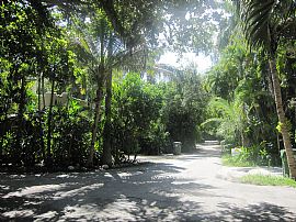 Delightful 1 Bedroom Cottage Home in The Grove in Coconut Grove, FL (Photo 2 of 2)