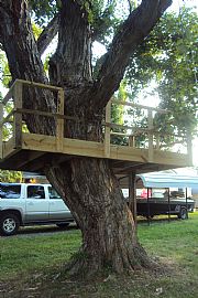 Quaint 2 Bedroom Home with Quiet Country Living in Lamasco, KY (Photo 1 of 3)