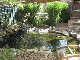 Cozy 3 Bedroom Home with Small Pond - Available Immediately in Las Vegas, NV (Photo 5 of 7)