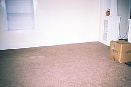 Bright and Sunny 3 Bedroom Home with New Paint and Carpeting in Toledo, OH (Photo 3 of 4)