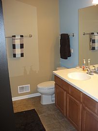 Modern, Tri-Level, 3 Bedroom Townhouse with Basement in Oswego, IL (Photo 5 of 12)