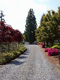 Custom 5 Bedroom Home on Horse Property with View  in Marysville, WA (Photo 12 of 12)