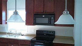 Clean and Like New 4 Bedroom Home in Nice Location   in Durham, NC (Photo 9 of 11)