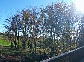 Cozy 3 Bedroom Home with Sauna and Steam Room on 4 Acres! in Portland, OR