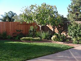 Beautiful 3 Bedroom
Home with 3 Car Garage in Oceanside, CA (Photo 2 of 5)