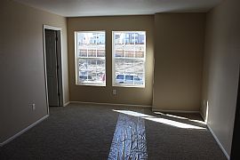 Beautiful, New 3 Bedroom Home Located in The Meadows in Castle Rock, CO (Photo 5 of 5)