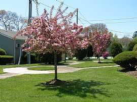 Lovely 1 Bedroom Cottage Home with Tennis Courts and Heated Pool in Hampton Bays, NY (Photo 3 of 5)