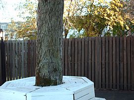 Fabulous 2 Bedroom Duplex Townhouse in Vintage Building  in Souderton, PA (Photo 2 of 2)