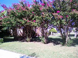 Remodeled 1 Bedroom Duplex Home with Wood Floors in Oklahoma City, OK (Photo 4 of 4)