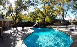 Exquisite 4 Bedroom Home in Los Nogales Subdivision in Las Cruces, NM (Photo 5 of 7)