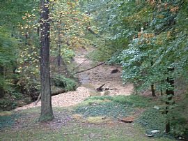 Exquisite 4 Bedroom Home - Perfect Place to Call Home in Alexandria, VA (Photo 10 of 12)