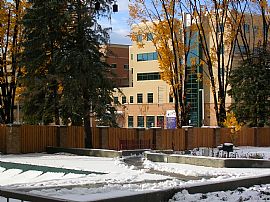 Impeccable 2 Bedroom Apartment at Park Mayfaire in Denver, CO (Photo 4 of 7)