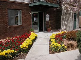 Sublime 1 Bedroom Apartment with Fully Equipped Kitchen in Lees Summit, MO