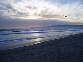 Remodeled 3 Bedroom Home on Walk Street at The Beach in Venice, CA (Photo 9 of 9)