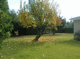 Remodeled 4 Bedroom Home with Heatalator Type Fireplace in Fresno, CA (Photo 3 of 3)