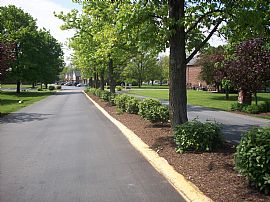 1 Bedroom Apartment with Balcony and Wheelchair Access! in Indianapolis, IN (Photo 11 of 12)