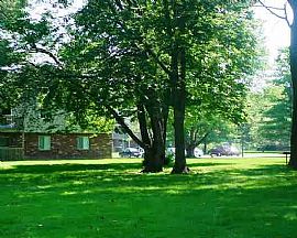 1 Bedroom Apartment with Balcony and Wheelchair Access! in Indianapolis, IN