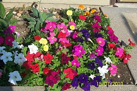 Comfy 1 Bedroom Apartment at Brush Creek Senior Housing in Lawrence, MI (Photo 5 of 7)