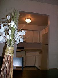 Fabulous 2 Bedroom Apartment with $25 Discount! in Indianapolis, IN (Photo 1 of 2)